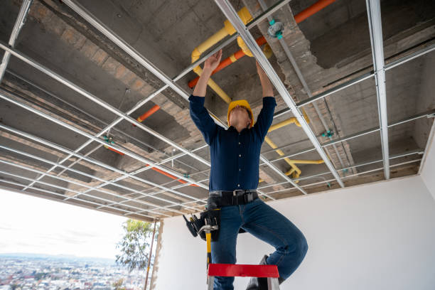 Best Plumbing Services Near Me  in Edgewater, MD