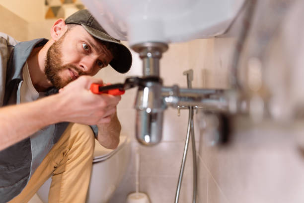 Best Local Plumber Services  in Edgewater, MD